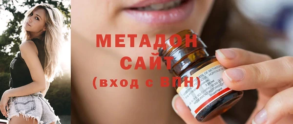 сатива Новозыбков
