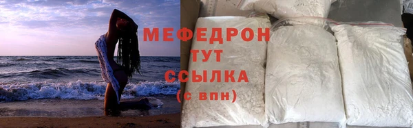 сатива Новозыбков