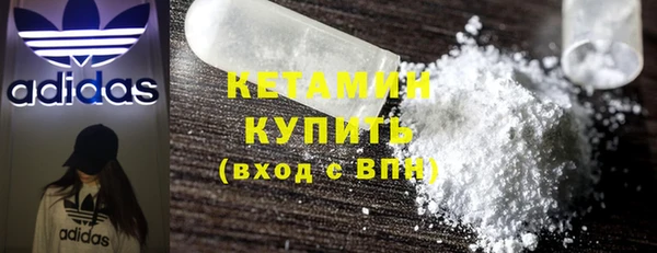 сатива Новозыбков