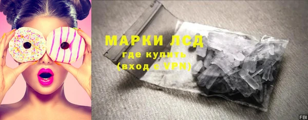 сатива Новозыбков