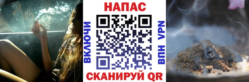 Бошки Шишки ГИДРОПОН Богородицк